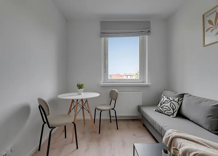 Comfort Zone By Bookinghost