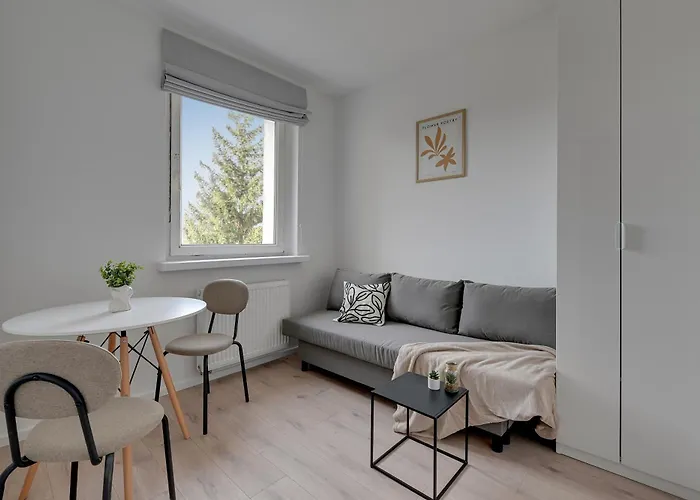 Comfort Zone By Bookinghost *